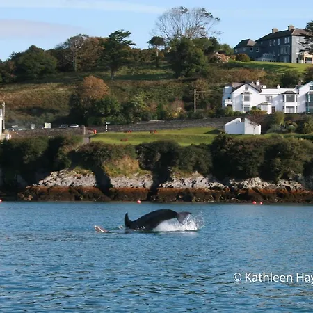 Nocleg ze śniadaniem Bay View