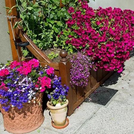 Bay View Nocleg ze śniadaniem