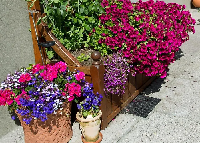 Bay View לינה וארוחת בוקר