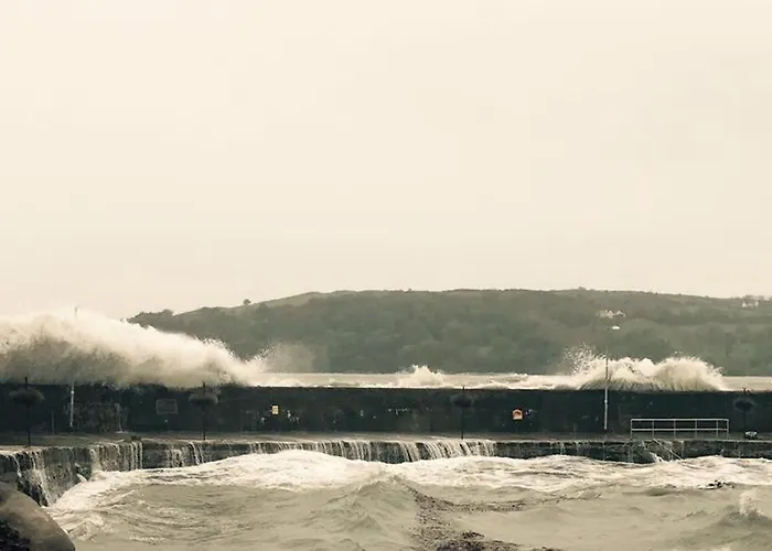 Bay View לינה וארוחת בוקר